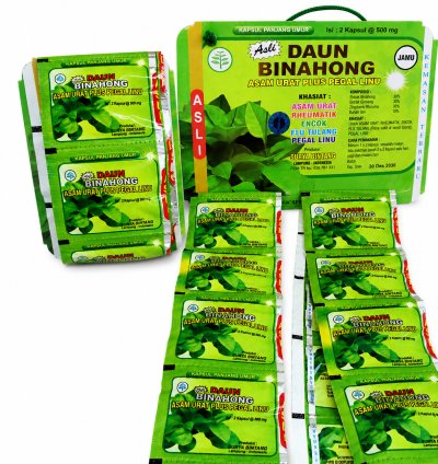 Daun Binahong 100% Original Herbal for Bone Health